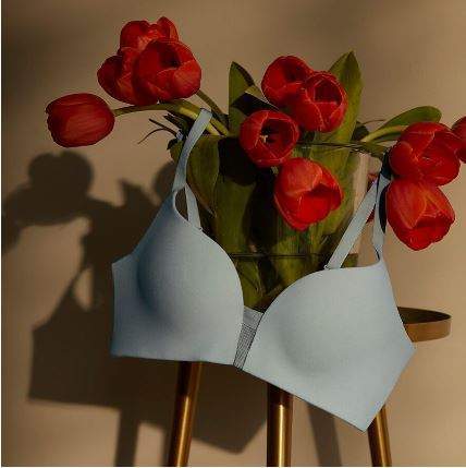 Lingerie de jour Saint-Valery-en-Caux